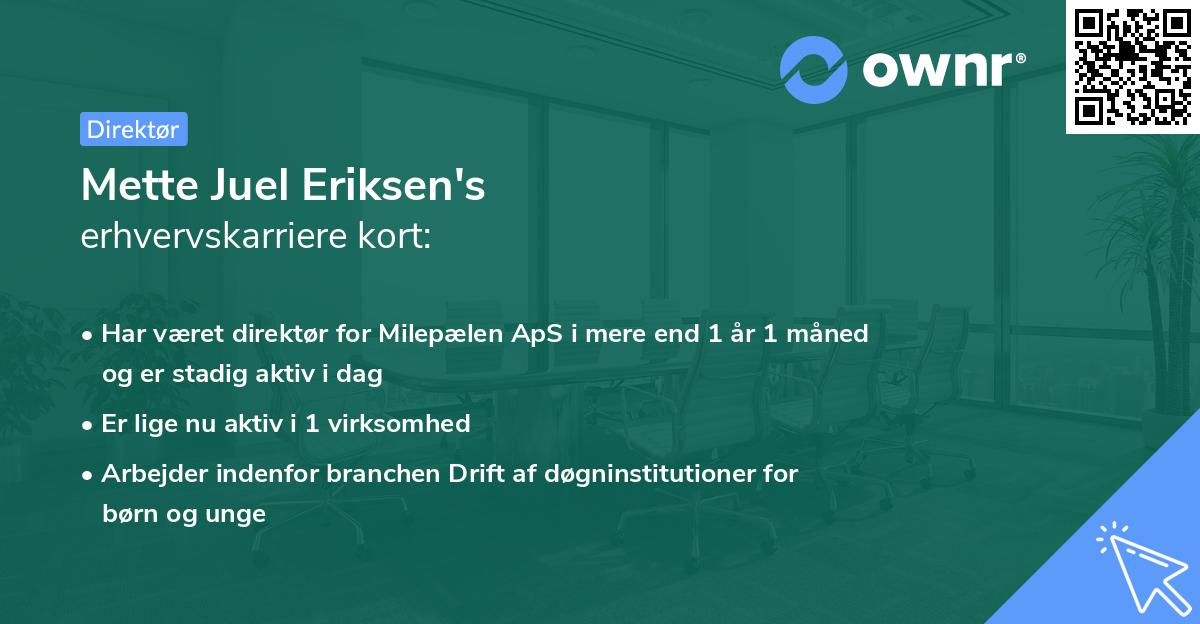 Mette Juel Eriksen's erhvervskarriere kort