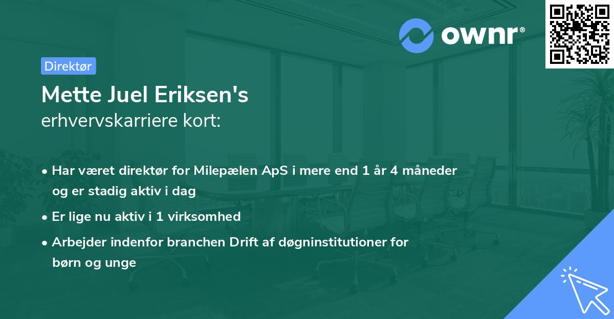 Mette Juel Eriksen's erhvervskarriere kort