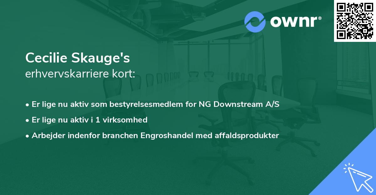 Cecilie Skauge's erhvervskarriere kort