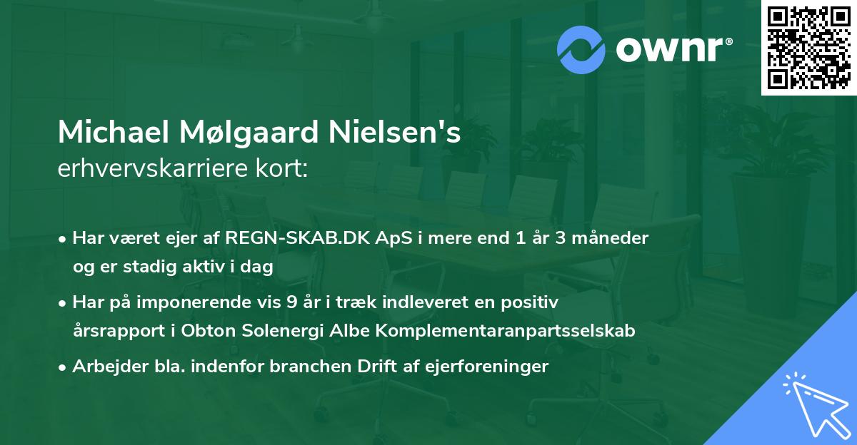 Michael Mølgaard Nielsen's erhvervskarriere kort