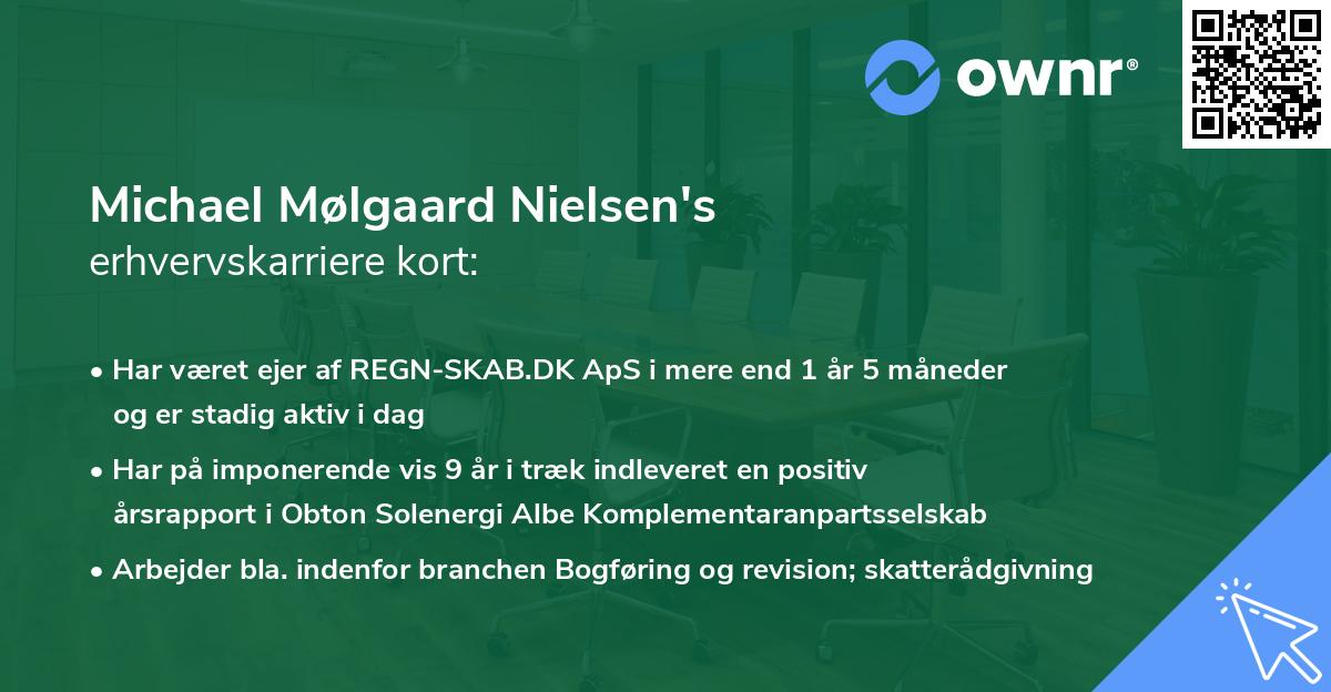Michael Mølgaard Nielsen's erhvervskarriere kort