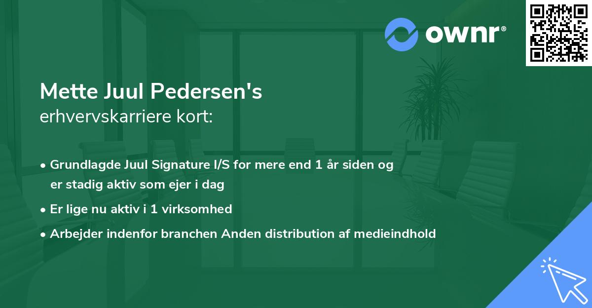 Mette Juul Pedersen's erhvervskarriere kort