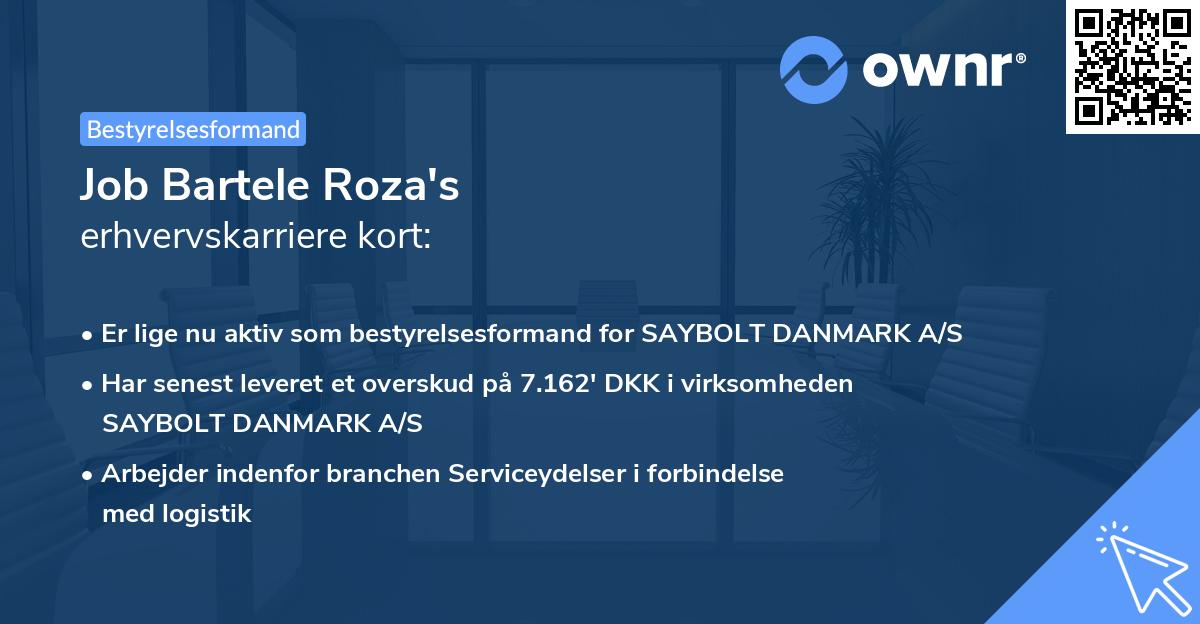 Job Bartele Roza's erhvervskarriere kort