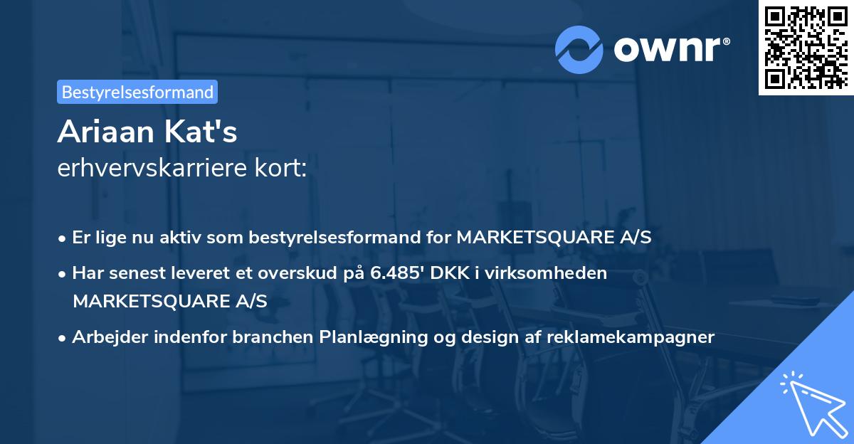 Ariaan Kat's erhvervskarriere kort