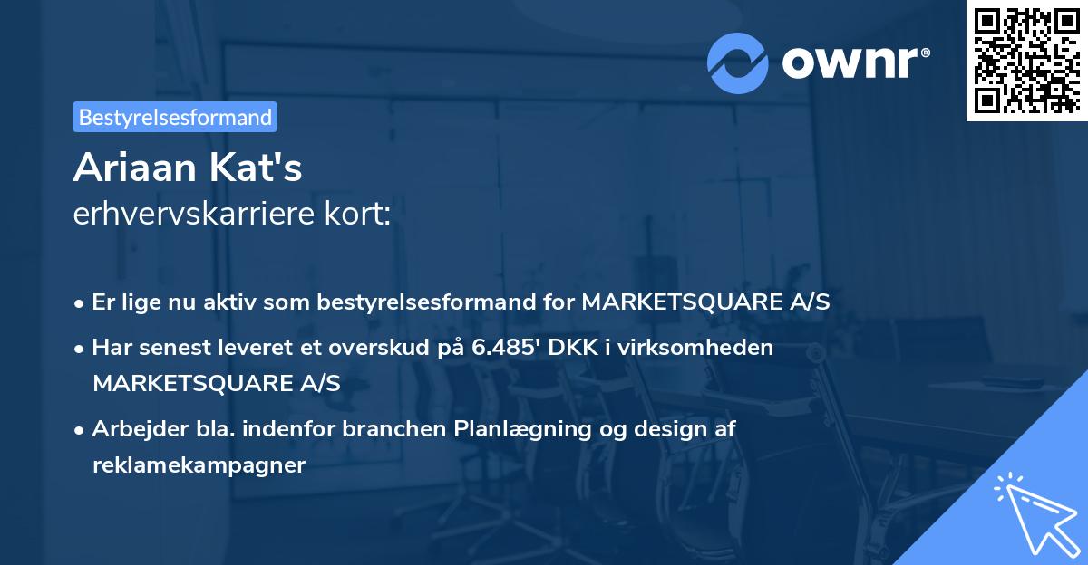 Ariaan Kat's erhvervskarriere kort