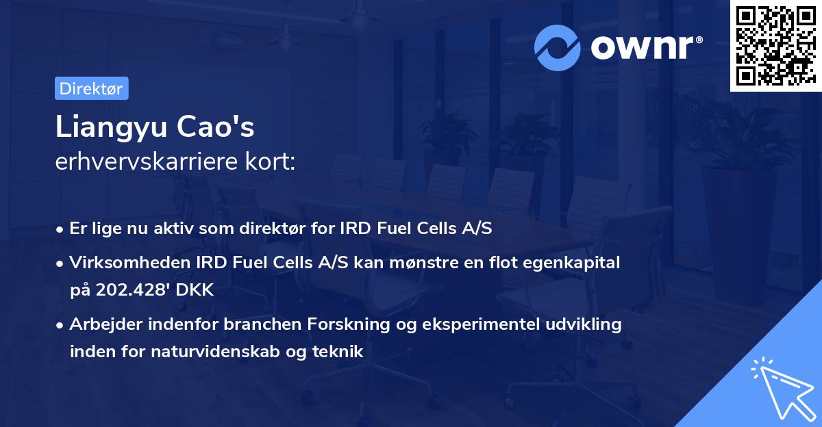 Liangyu Cao's erhvervskarriere kort