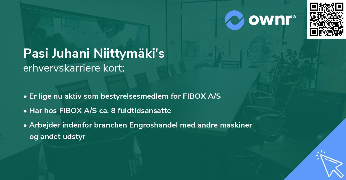 Pasi Juhani Niittymäki's erhvervskarriere kort