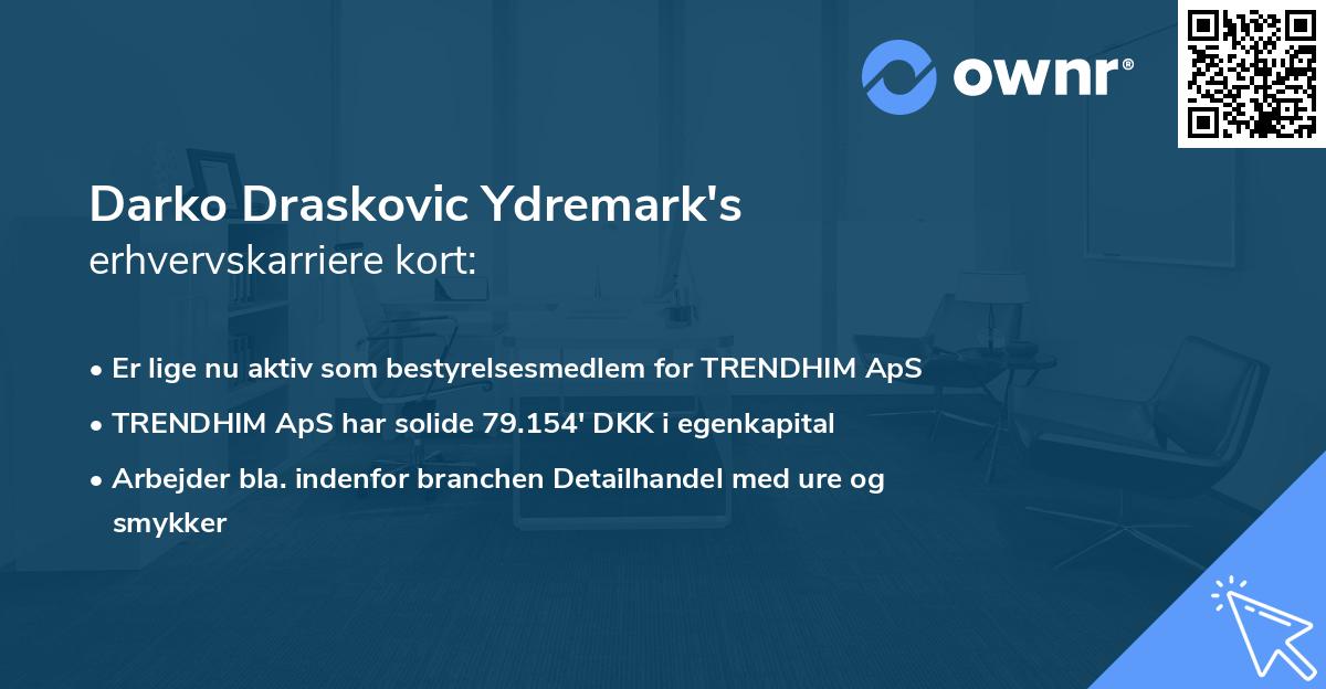 Darko Draskovic Ydremark's erhvervskarriere kort