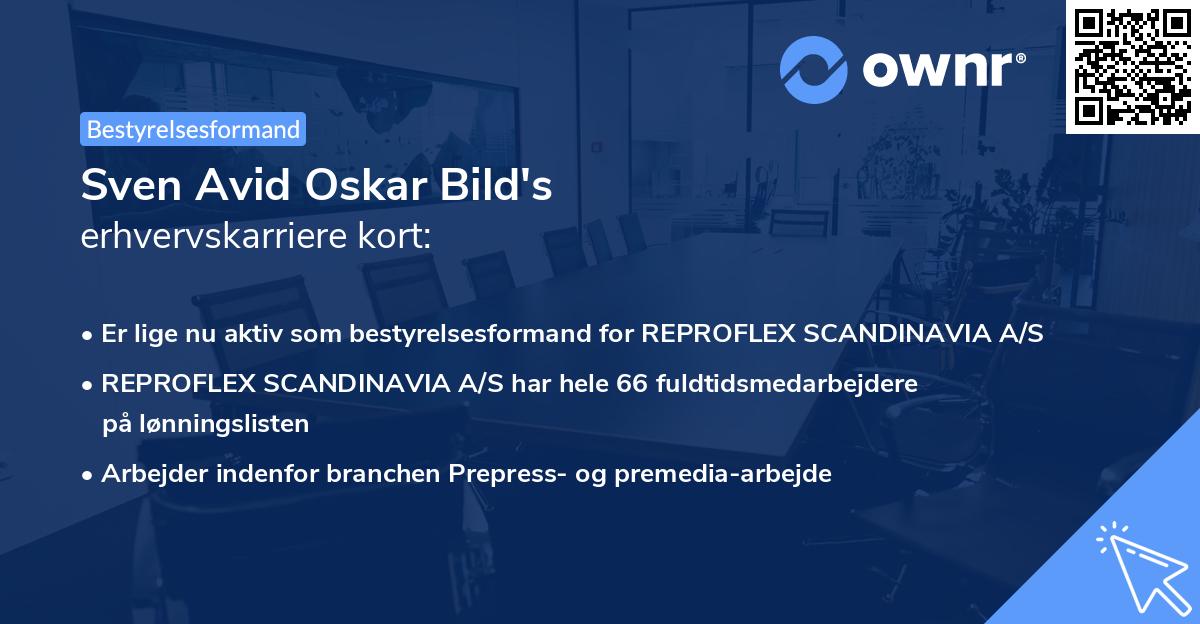 Sven Avid Oskar Bild's erhvervskarriere kort