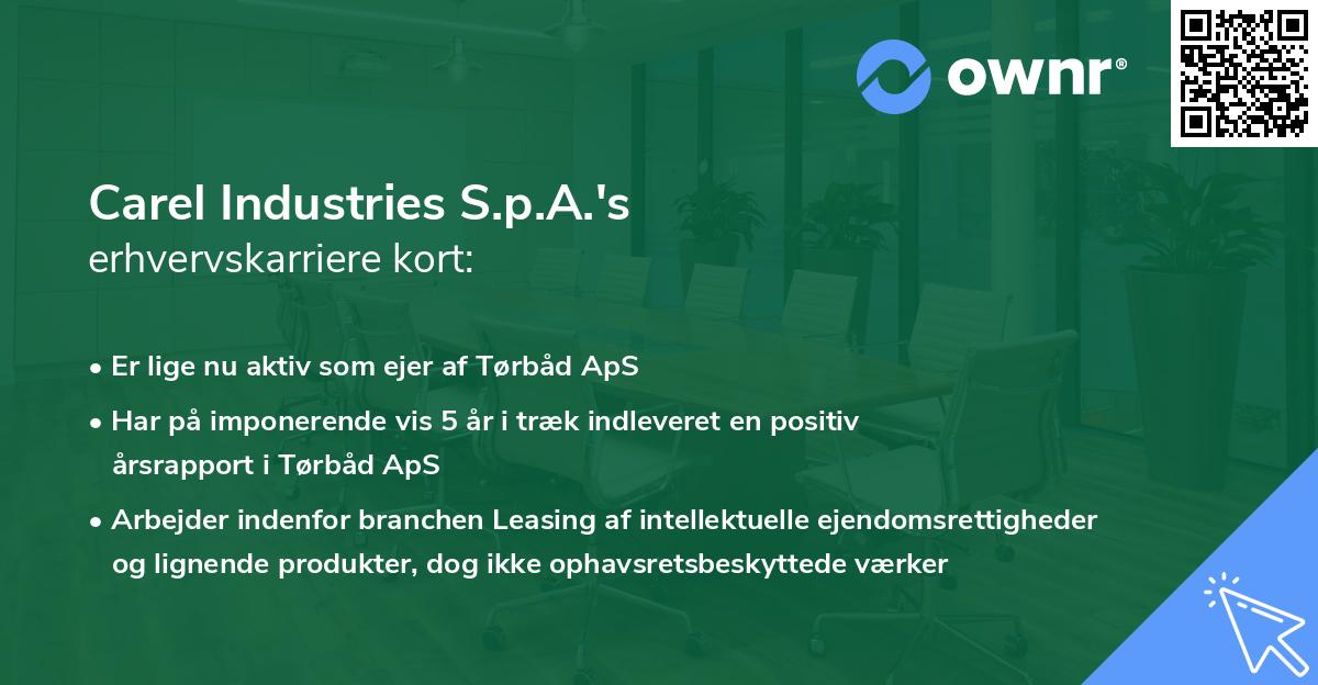 Carel Industries S.p.A.'s erhvervskarriere kort