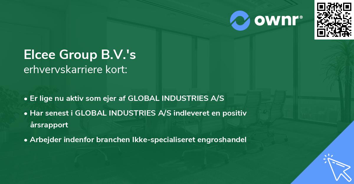 Elcee Group B.V.'s erhvervskarriere kort