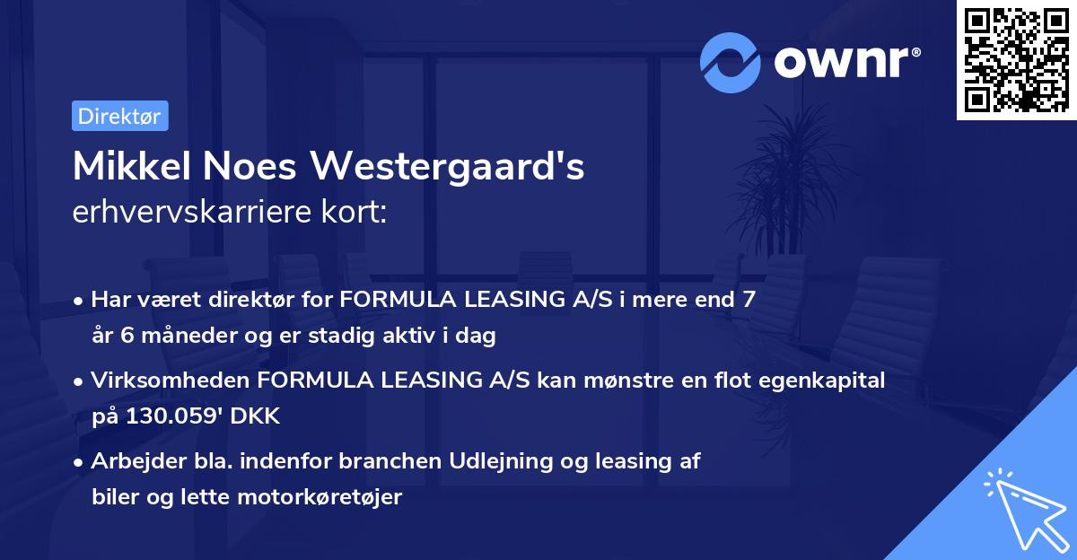 Mikkel Noes Westergaard's erhvervskarriere kort