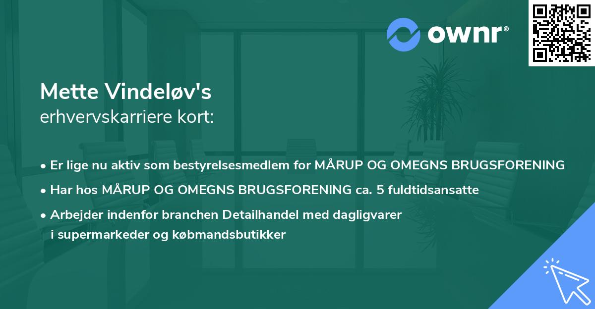 Mette Vindeløv's erhvervskarriere kort