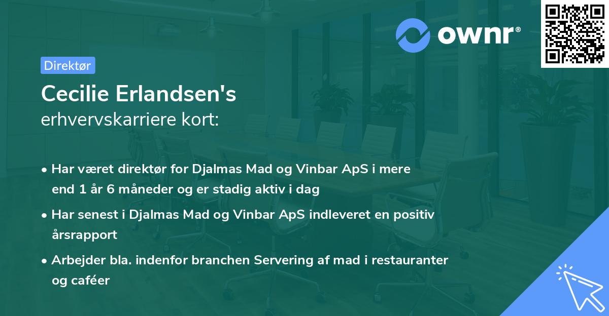 Cecilie Erlandsen's erhvervskarriere kort