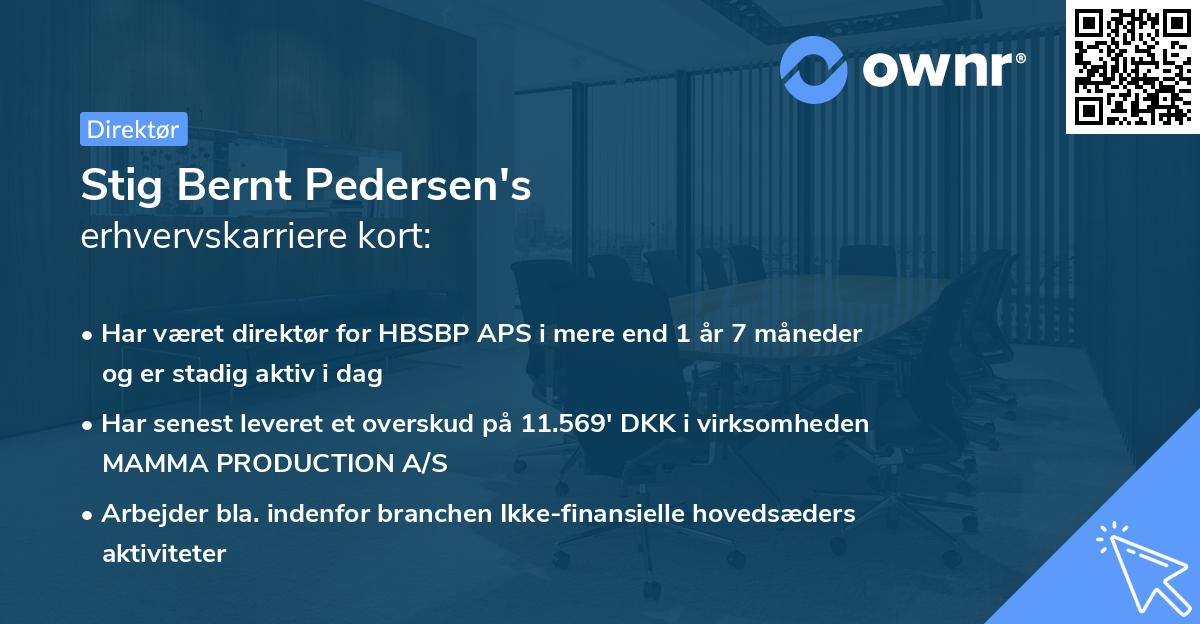 Stig Bernt Pedersen's erhvervskarriere kort