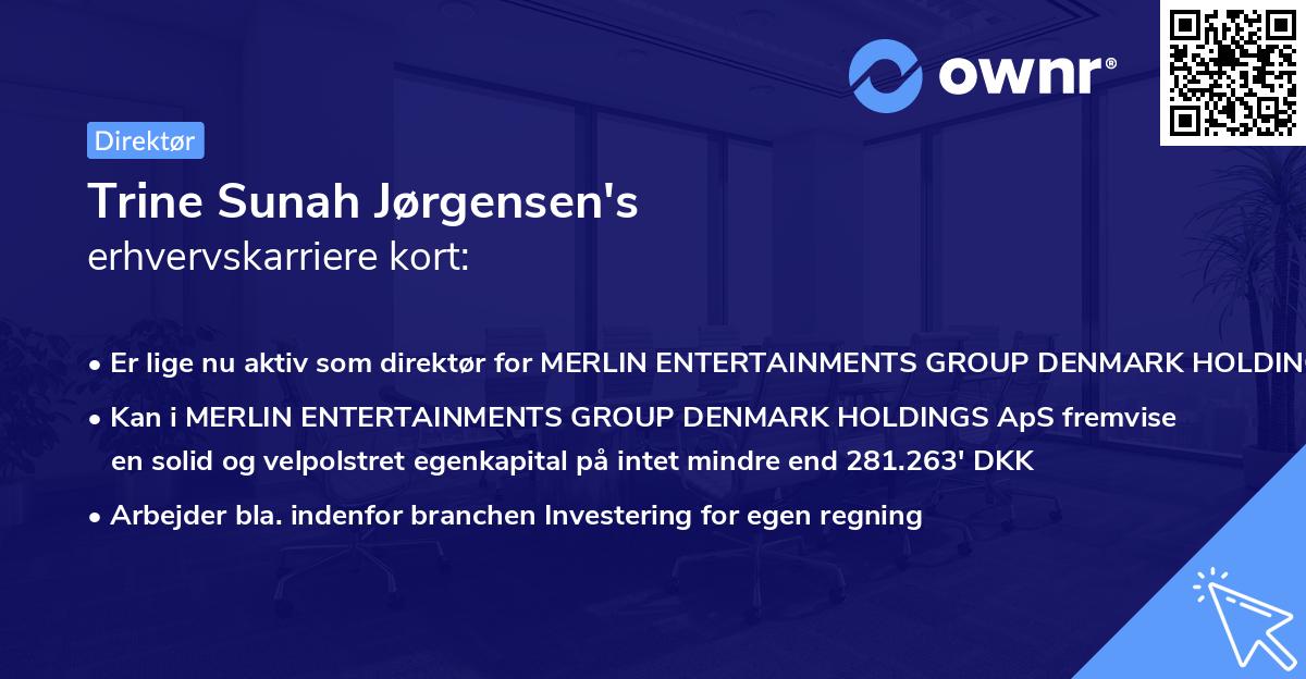 Trine Sunah Jørgensen's erhvervskarriere kort