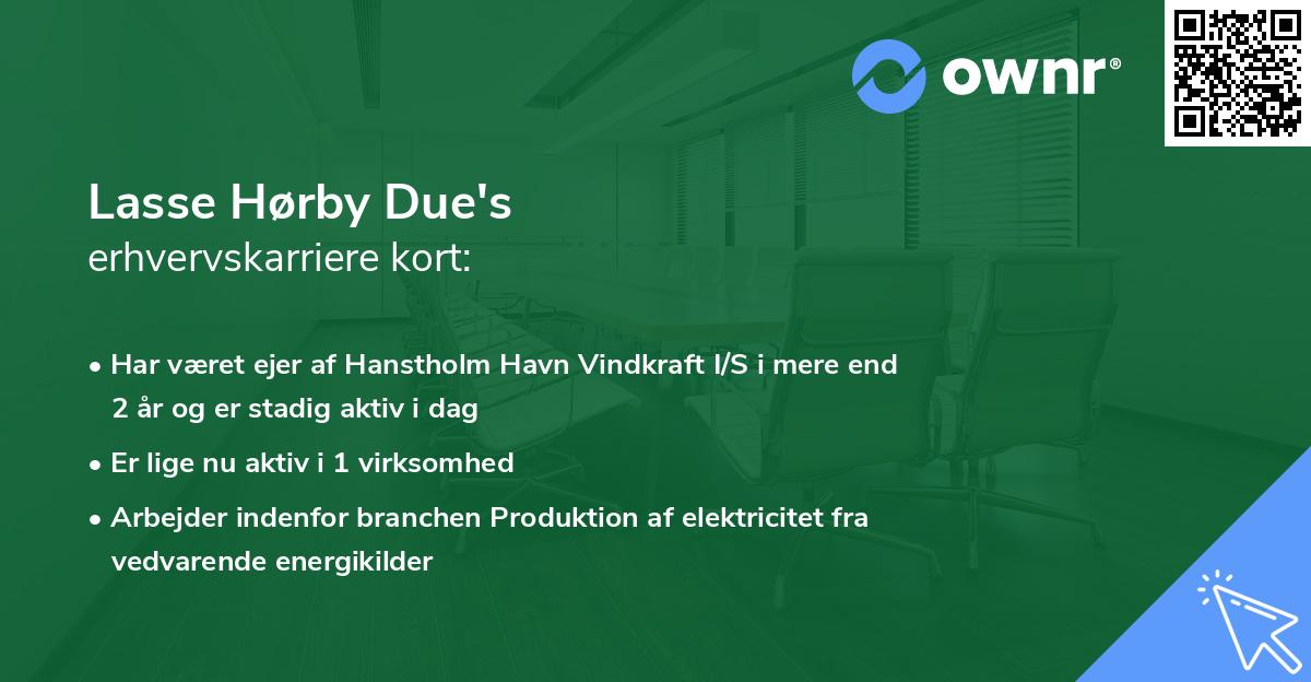 Lasse Hørby Due's erhvervskarriere kort