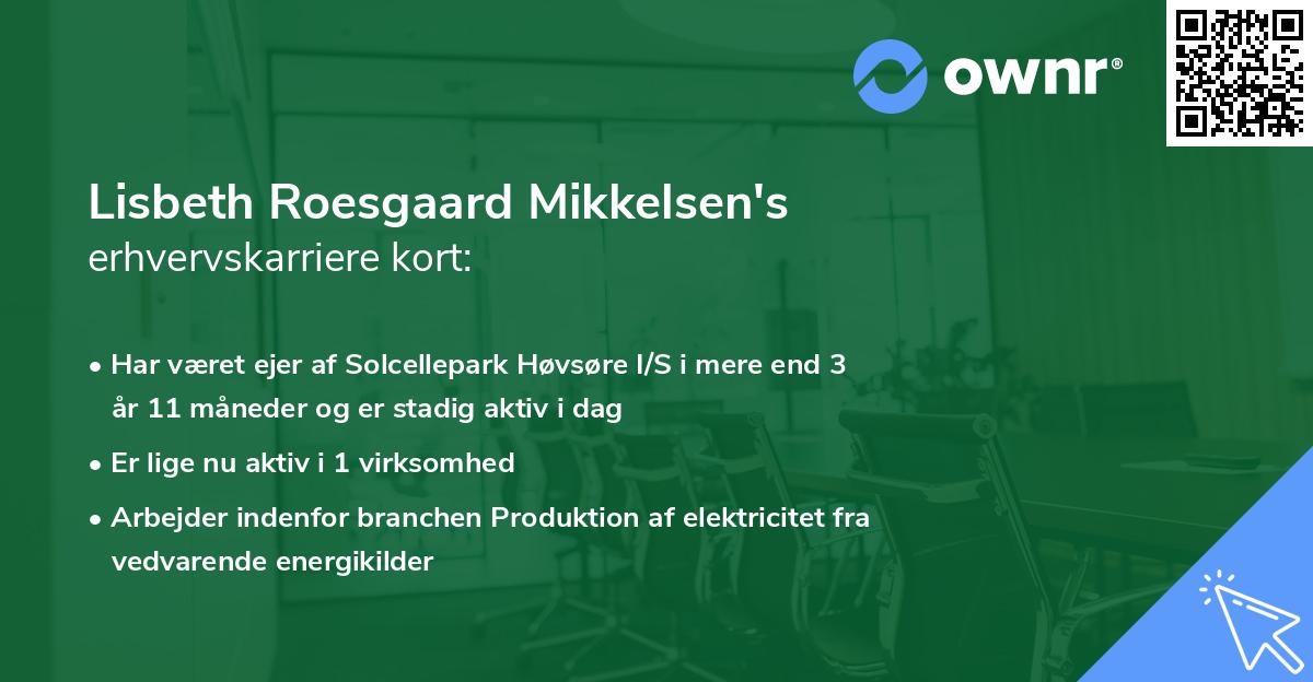 Lisbeth Roesgaard Mikkelsen's erhvervskarriere kort