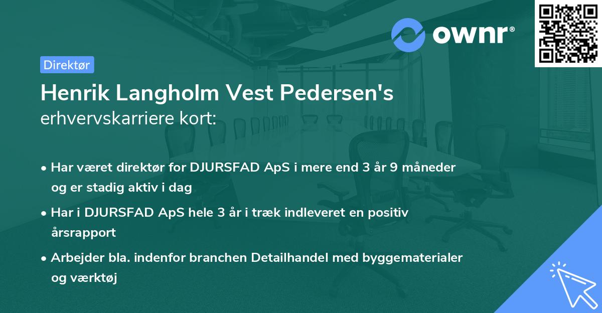 Henrik Langholm Vest Pedersen's erhvervskarriere kort