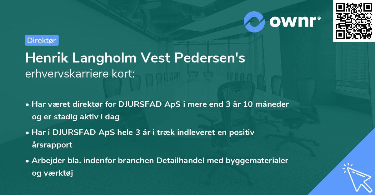 Henrik Langholm Vest Pedersen's erhvervskarriere kort