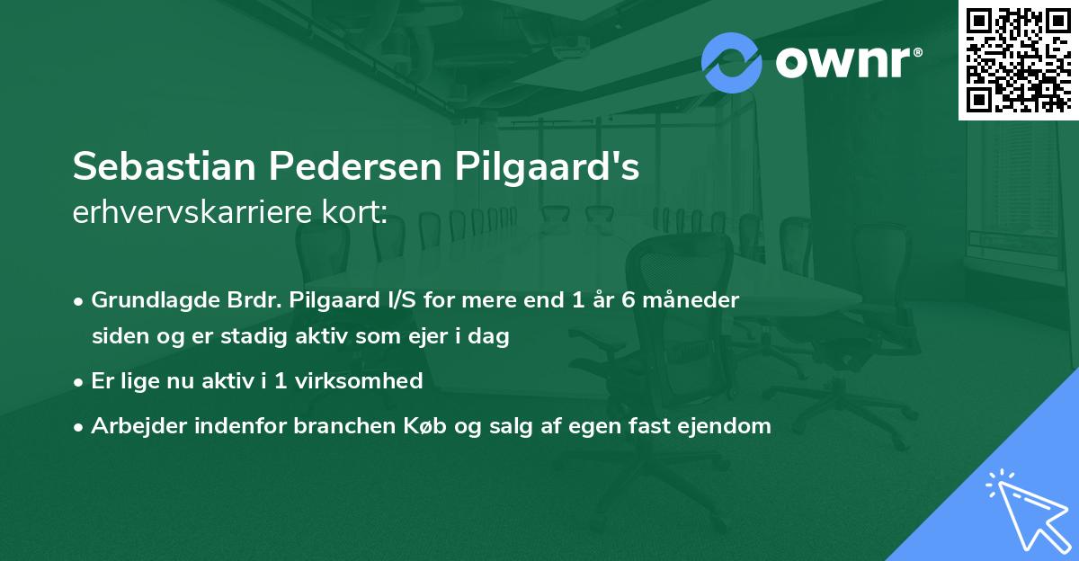 Sebastian Pedersen Pilgaard's erhvervskarriere kort