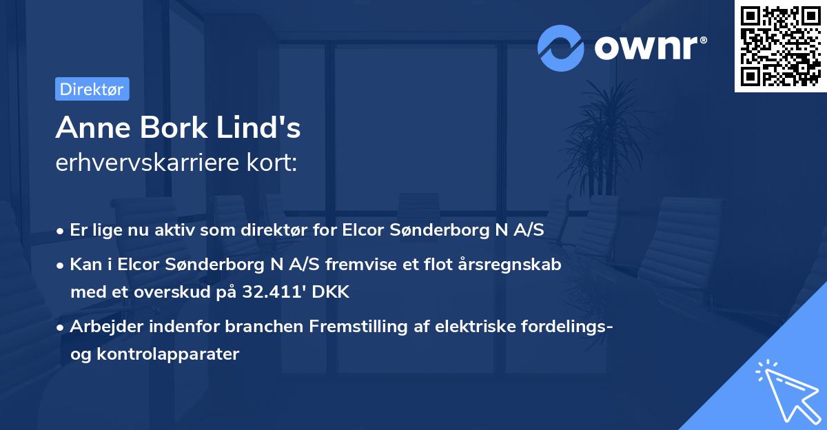 Anne Bork Lind's erhvervskarriere kort