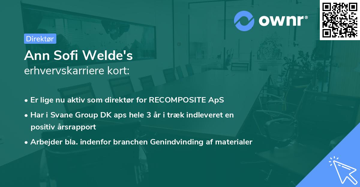 Ann Sofi Welde's erhvervskarriere kort