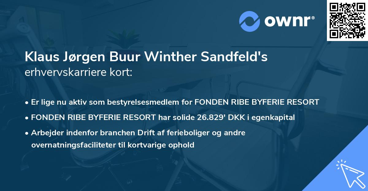 Klaus Jørgen Buur Winther Sandfeld's erhvervskarriere kort