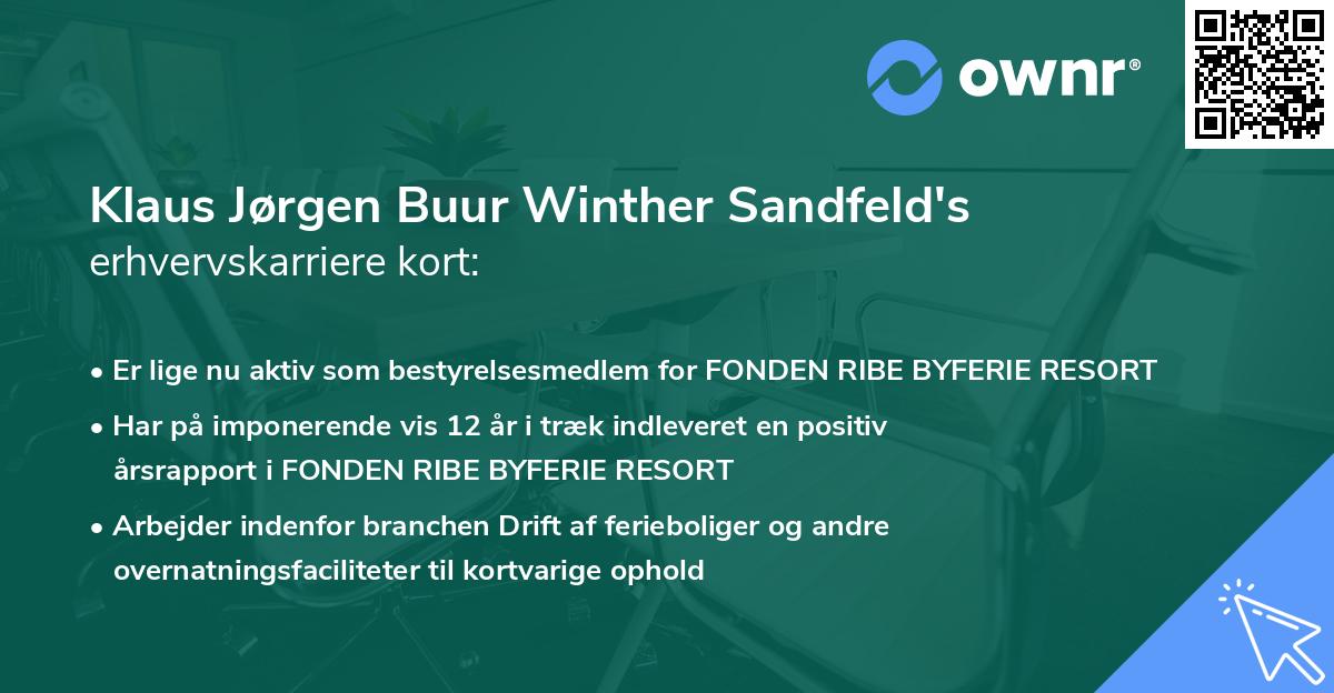 Klaus Jørgen Buur Winther Sandfeld's erhvervskarriere kort