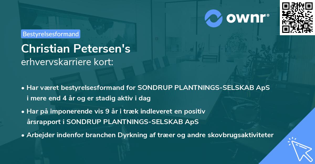 Christian Petersen's erhvervskarriere kort