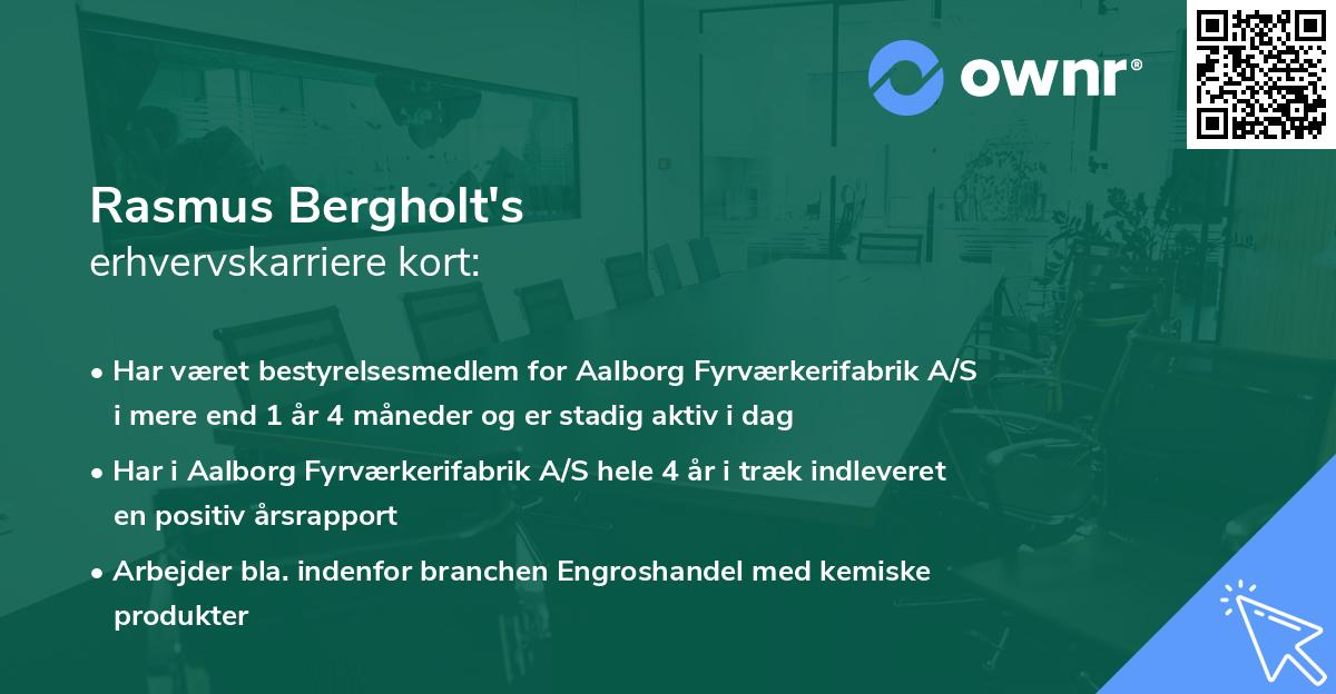 Rasmus Bergholt's erhvervskarriere kort