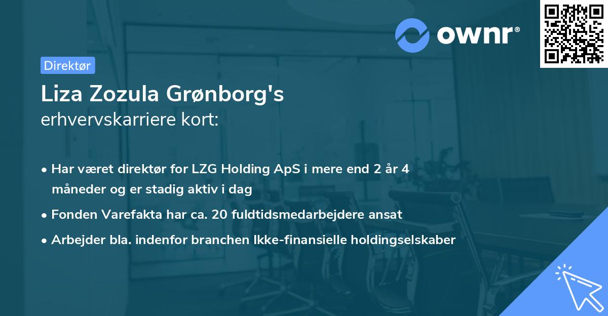 Liza Zozula Grønborg's erhvervskarriere kort