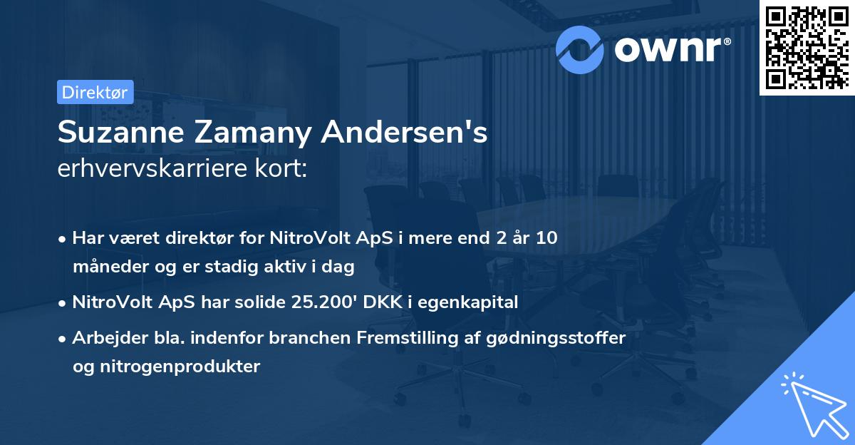 Suzanne Zamany Andersen's erhvervskarriere kort