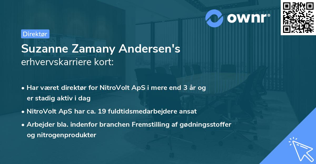Suzanne Zamany Andersen's erhvervskarriere kort