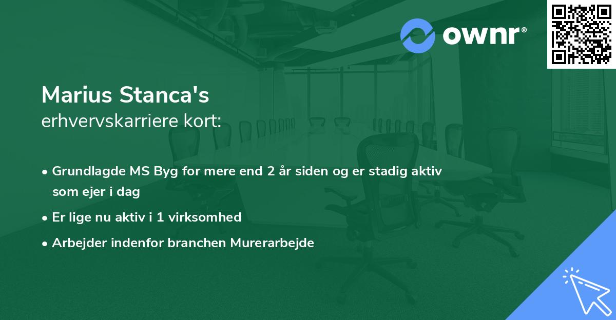 Marius Stanca's erhvervskarriere kort