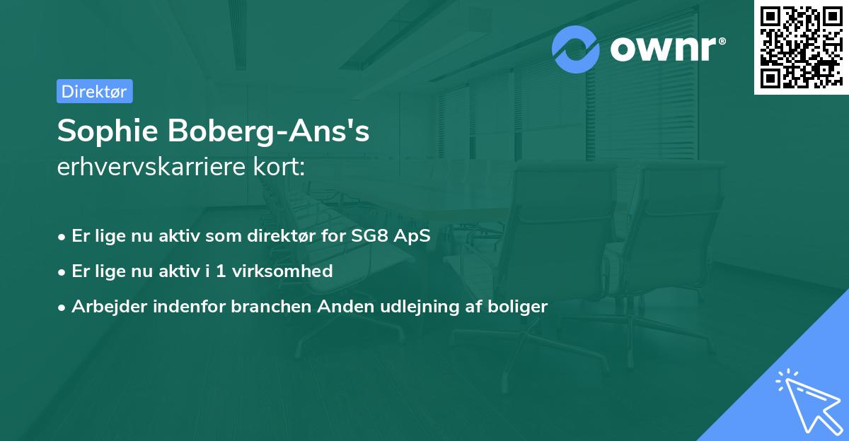 Sophie Boberg-Ans's erhvervskarriere kort