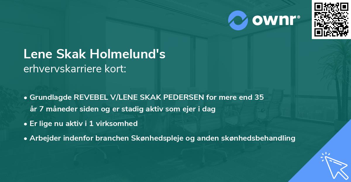 Lene Skak Holmelund's erhvervskarriere kort