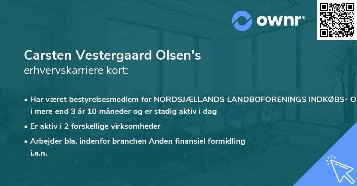 Carsten Vestergaard Olsen's erhvervskarriere kort