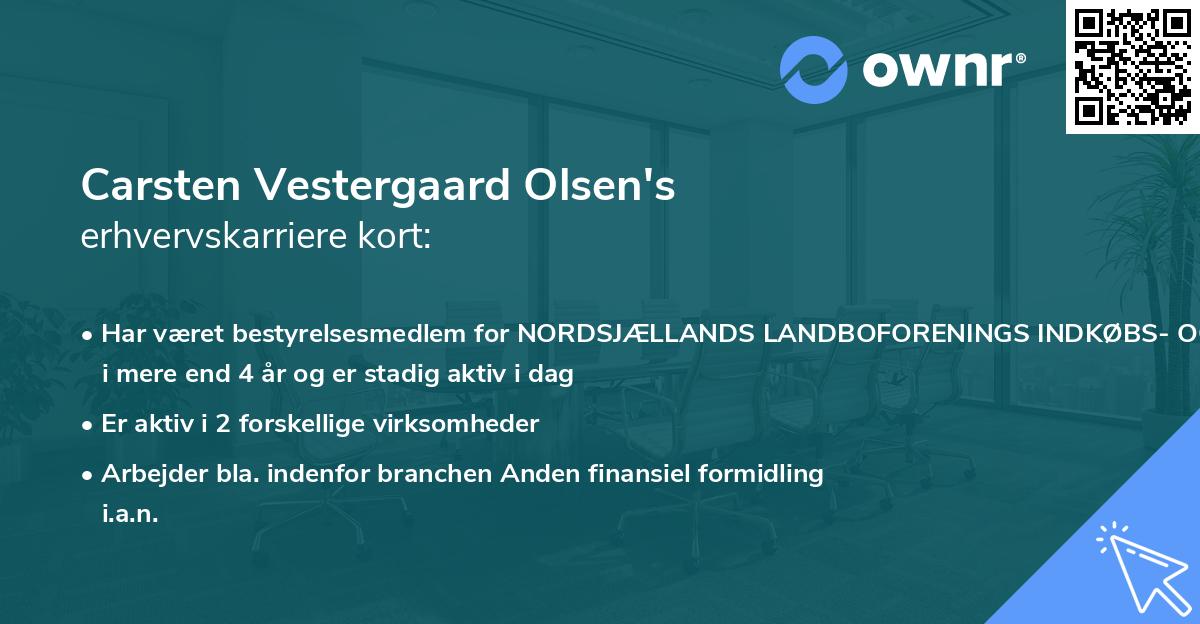 Carsten Vestergaard Olsen's erhvervskarriere kort