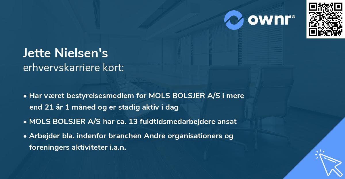 Jette Nielsen's erhvervskarriere kort