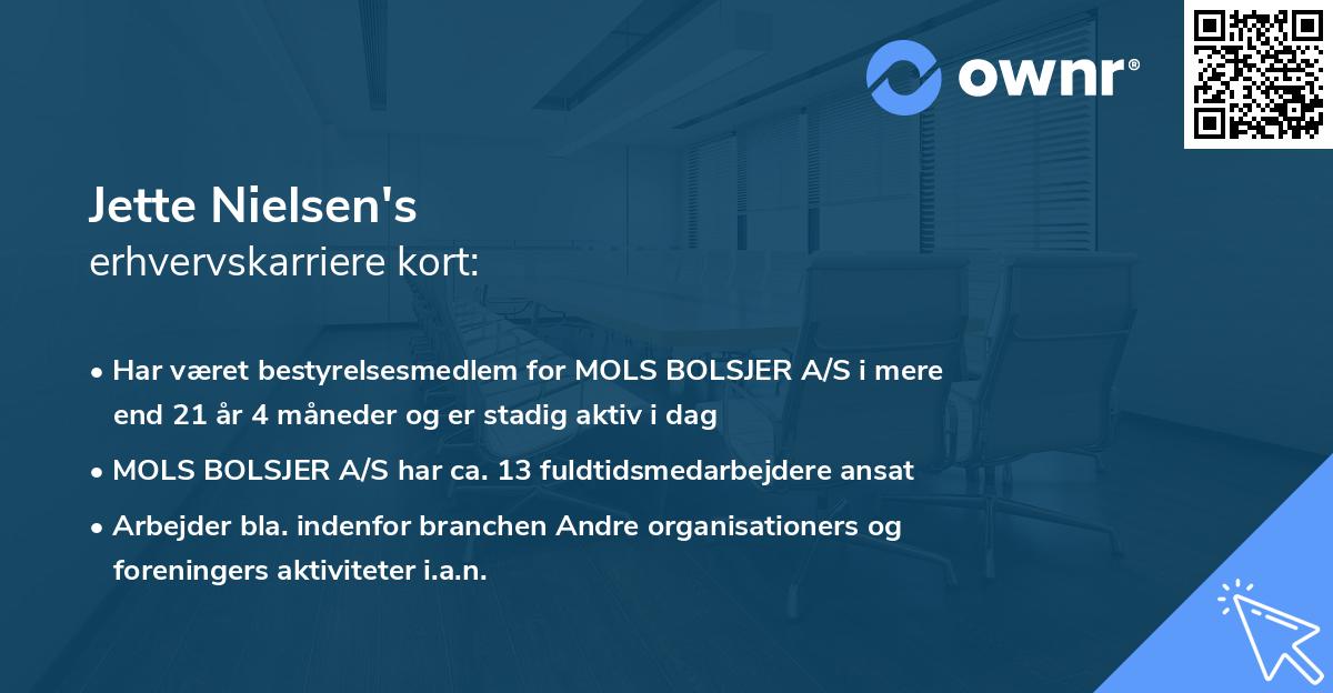 Jette Nielsen's erhvervskarriere kort