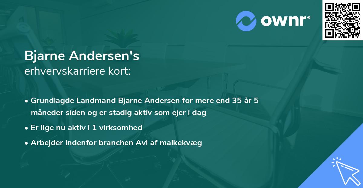 Bjarne Andersen's erhvervskarriere kort