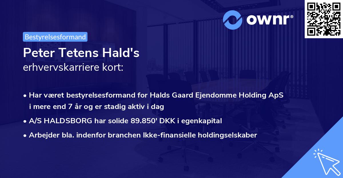 Peter Tetens Hald's erhvervskarriere kort