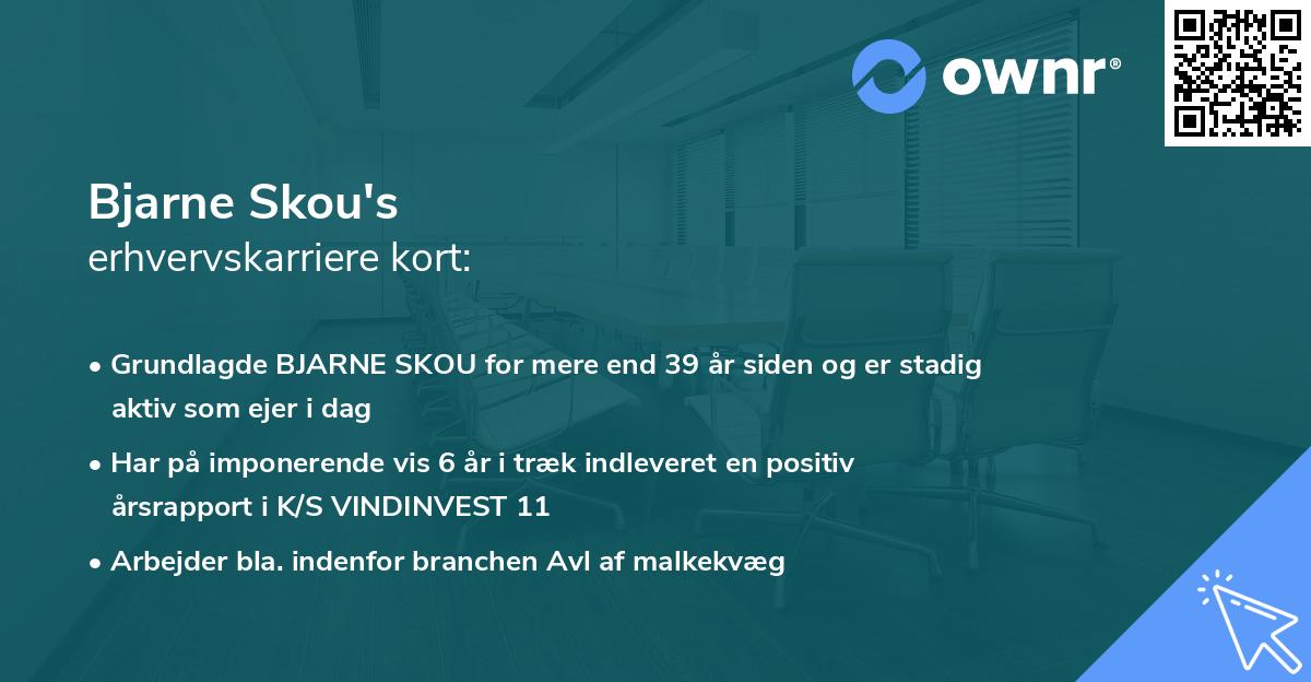Bjarne Skou's erhvervskarriere kort