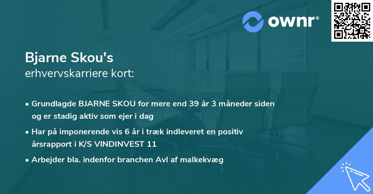 Bjarne Skou's erhvervskarriere kort
