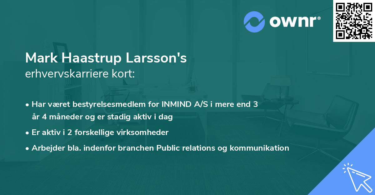 Mark Haastrup Larsson's erhvervskarriere kort
