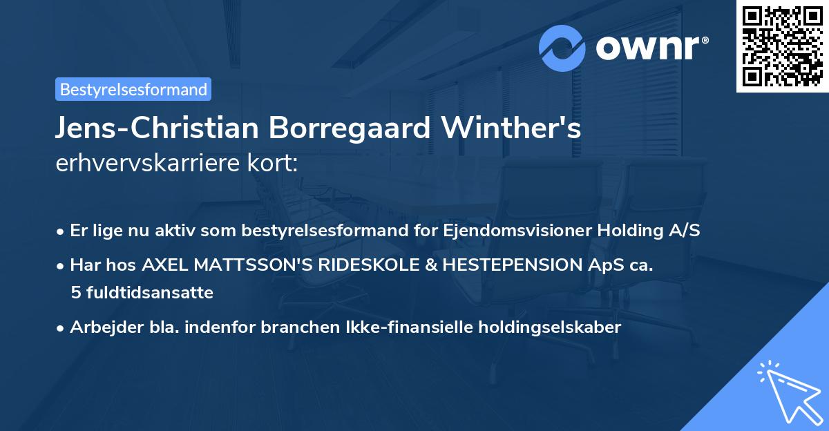 Jens-Christian Borregaard Winther's erhvervskarriere kort