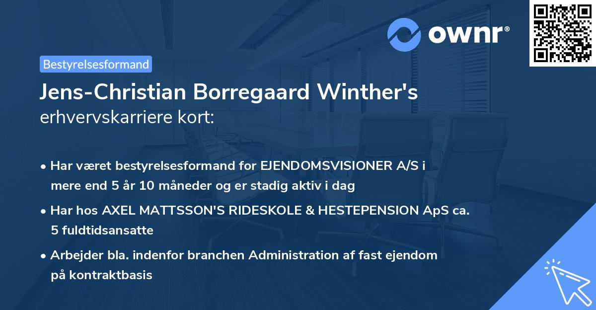 Jens-Christian Borregaard Winther's erhvervskarriere kort