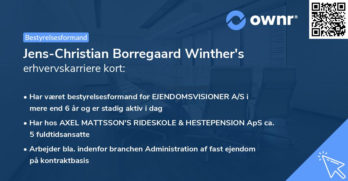 Jens-Christian Borregaard Winther's erhvervskarriere kort