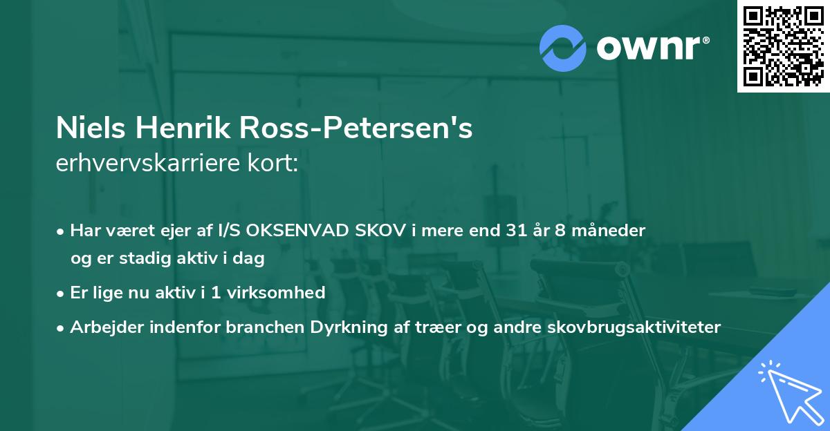 Niels Henrik Ross-Petersen's erhvervskarriere kort